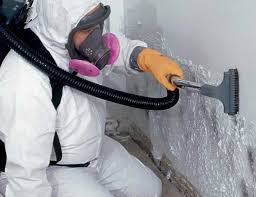 Mold Documentation for Insurance Claims in Suncrest, WA